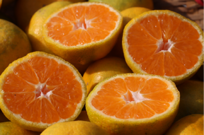 襄阳南漳：峡口柑橘别样红