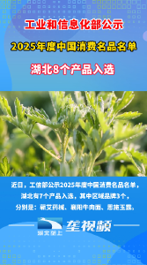 2025年度中国消费名品名单公示  湖北8个产品入选