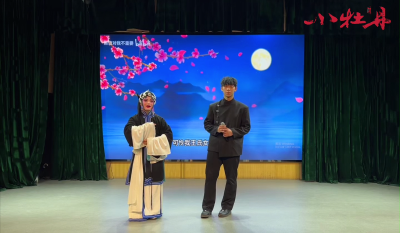 小牡丹—《武家坡》