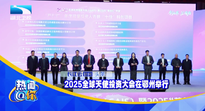 2025全球天使投资大会在鄂州举行
