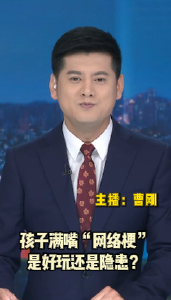 长江评论：玩转网络潮语 更要写好笔下山河