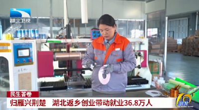 民生答卷 | 归雁兴荆楚 湖北返乡创业带动就业36.8万人