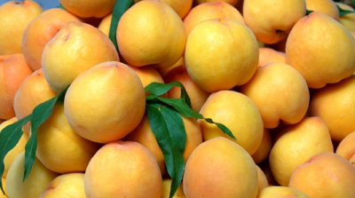 “枣阳皇桃”：一口邂逅大自然的甜润