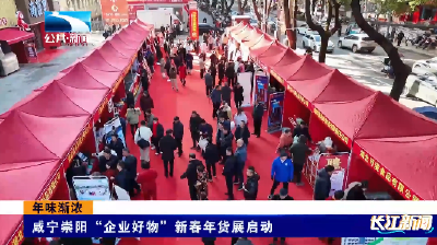 咸宁崇阳“企业好物”新春年货展启动