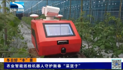 冬日好“丰”景 | 农业智能巡检机器人守护新春“菜篮子”