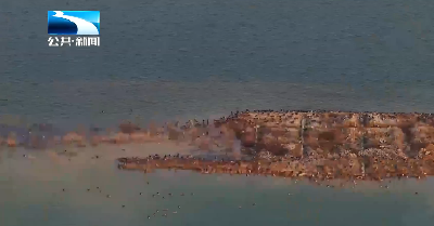 湖北省首个湿地碳收支监测技术标准发布实施