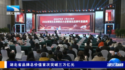 湖北省品牌总价值首次突破三万亿元