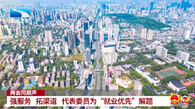 两会同期声 | 强服务 拓渠道 代表委员为“就业优先”解题