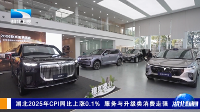 湖北2025年CPI同比上涨0.1% 服务与升级类消费走强