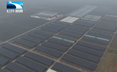 迎战冰雪灾害·农业 | 襄阳市南漳县：全力保障冬季蔬菜供应