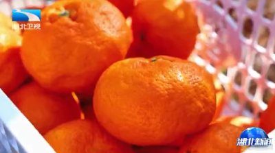 冬日乡野 别样“丰”景