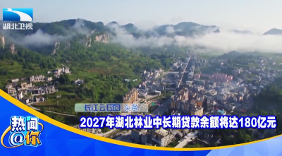 2027年湖北林业中长期贷款余额将达180亿元