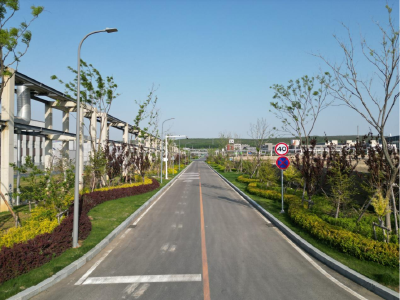 长兴岛精细化工园区建设项目一期道路附属工程顺利通过竣工验收