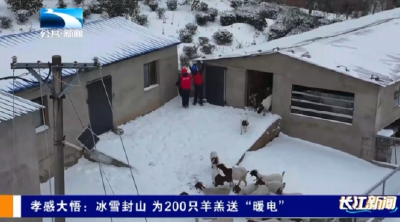 孝感大悟：冰雪封山 为200只羊羔送“暖电”