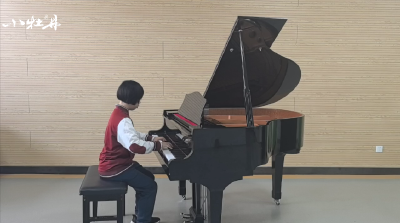 小牡丹—《森林波尔卡》