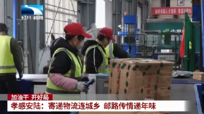 孝感安陆：寄递物流连城乡 邮路传情递年味 