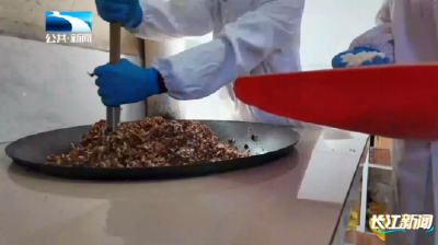 三餐四季 | 一锅苕糖 熬出千年技艺与乡愁年味