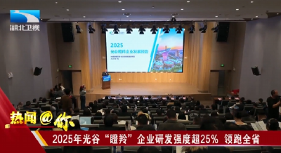 2025年光谷“瞪羚”企业研发强度超25% 领跑全省
