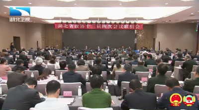 诸葛宇杰参加省政协十三届四次会议联组讨论