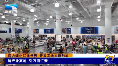 走一线 看支点 | 活力湖北联通世界 开放高地加速形成