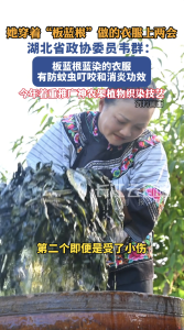 她穿着“板蓝根”做的衣服上两会！湖北省政协委员韦群：今年着重推广神农架植物织染技艺