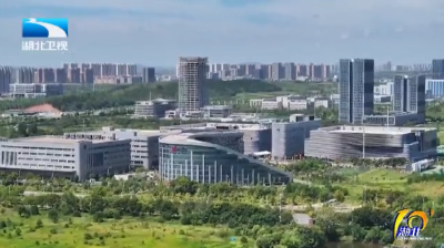 2026年1月10日湖北十分