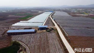 襄阳宜城：特色产业铺就乡村振兴富民路