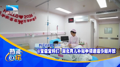 @宝爸宝妈们 湖北育儿补贴申领通道今起开放