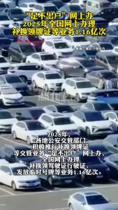 “足不出户”网上办 去年全国网上办理补换领牌证等业务1.16亿次