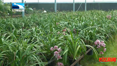 2026年1月30日长江新闻