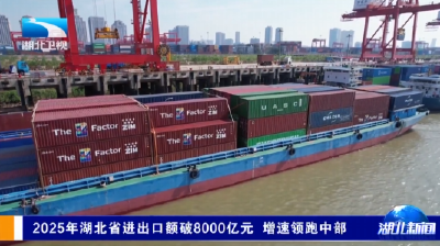 2025年湖北省进出口额破8000亿元 增速领跑中部