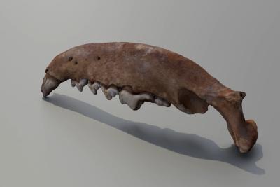 中国社会科学院发布6项考古领域重大成果