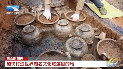 两会同期声｜加快打造世界知名文化旅游目的地