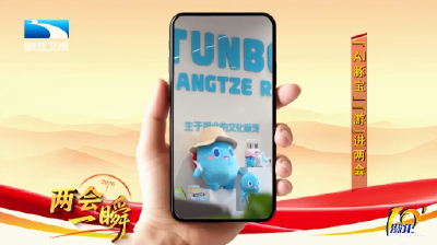 两会一瞬丨AI豚宝“游”进两会