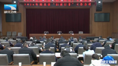 全省“扫黄打非”工作会议召开