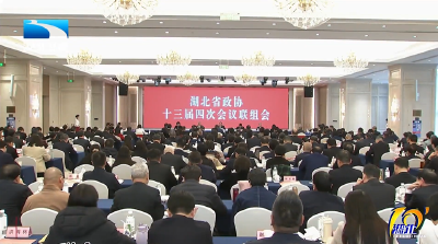 张文兵参加省政协十三届四次会议联组会 发挥优势特长 更好为支点建设建言献策