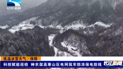 科技赋能巡检 神农架高寒山区电网筑牢防冻保电防线