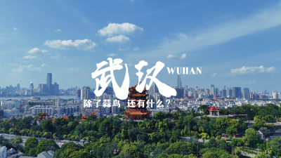 《除了蒜鸟，武汉还有什么》