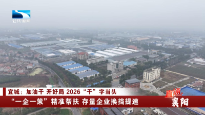 襄阳宜城：“一企一策”精准帮扶 存量企业换挡提速