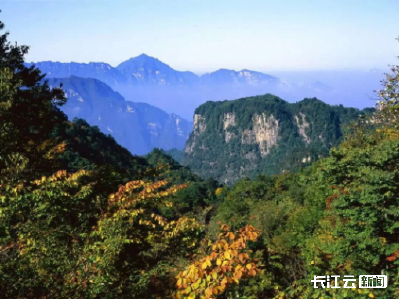 湖北新添13个“神奇物种”