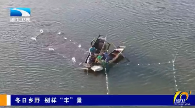 冬日乡野 别样“丰”景