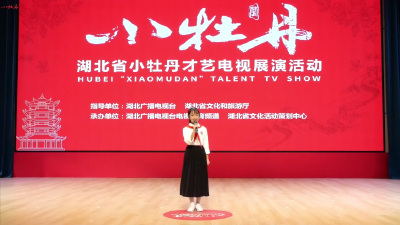 小牡丹—《假如风是有颜色的》