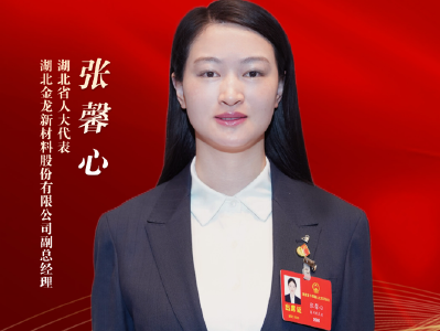 代表委员履职记 | 张馨心：打造省级复合材料产业集群