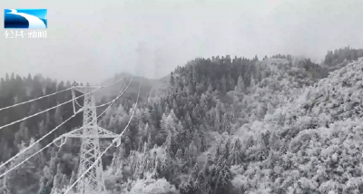 2026年1月24日长江新闻