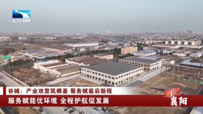 襄阳谷城：服务赋能优环境 全程护航促发展