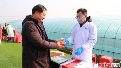 “你需我检”守护“莓”好年味