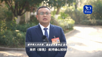 市州两会观察 | 咸宁通山：聚焦产业跃升  争当发展“急先锋”