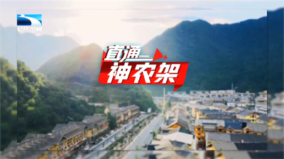 直通神农架 | 神农架的雪，何以定义“华中最极致的冬天”？