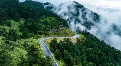 湖北出台林业绿色金融新政 赋能“绿水青山”加速转化“金山银山”