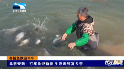 孝感安陆：打年鱼迎新春 生态养殖富乡亲